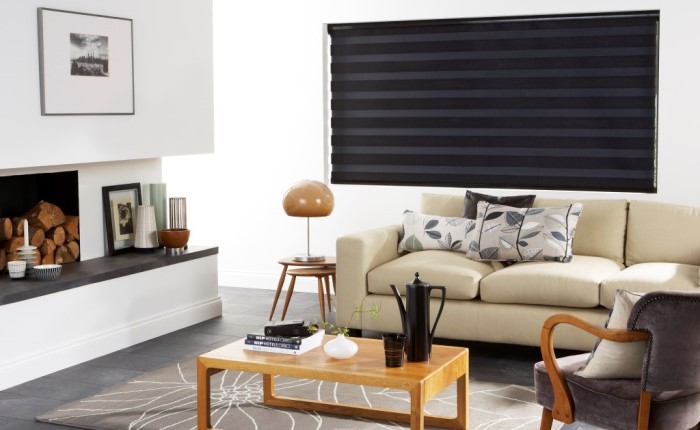 vision-blinds 4